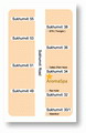 นามบัตร19