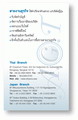 นามบัตร3
